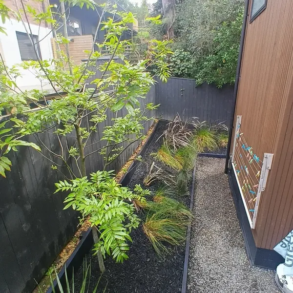 Garden bed planting and landscaping Auckland